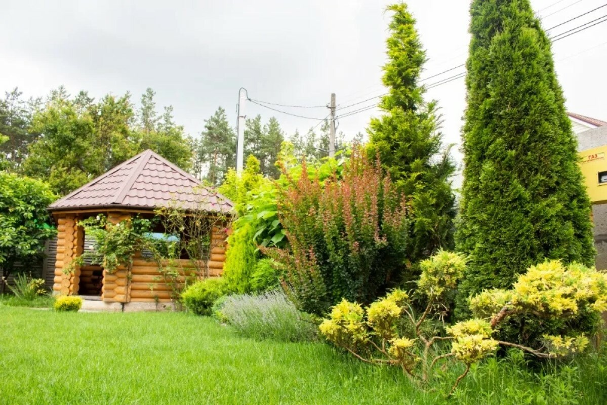 https://melitopol.tgv-stroy.ru/storage/app/uploads/public/637/ef4/fb3/637ef4fb3605f391429275.png